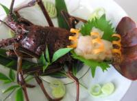 �����߻����褭������Ϸ