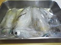 �����߻����褭�����ꥤ��